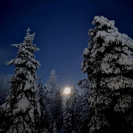 Snowflake * Rovaniemi